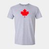 Softstyle Men/Unisex Lightweight T-Shirt Thumbnail